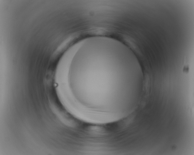 X0000113960167200910162012