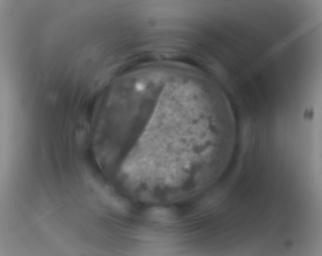 X0000113960169200910162012