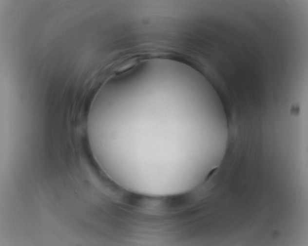 X0000113960170200910162012