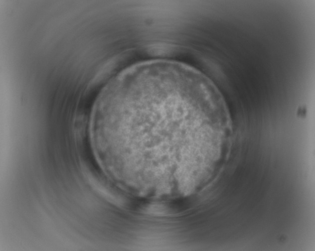 X0000113960171200910162012