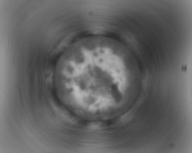 X0000113960175200910162012