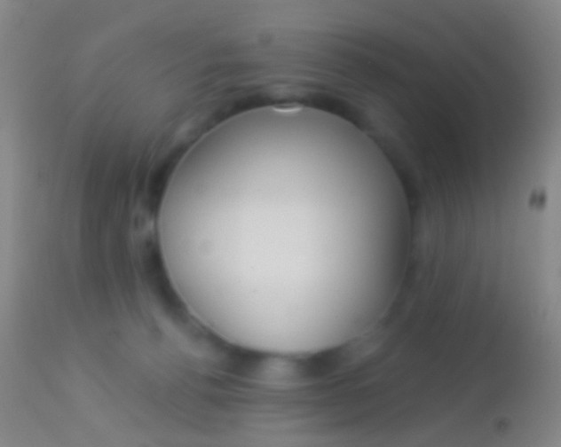 X0000113960176200910162012