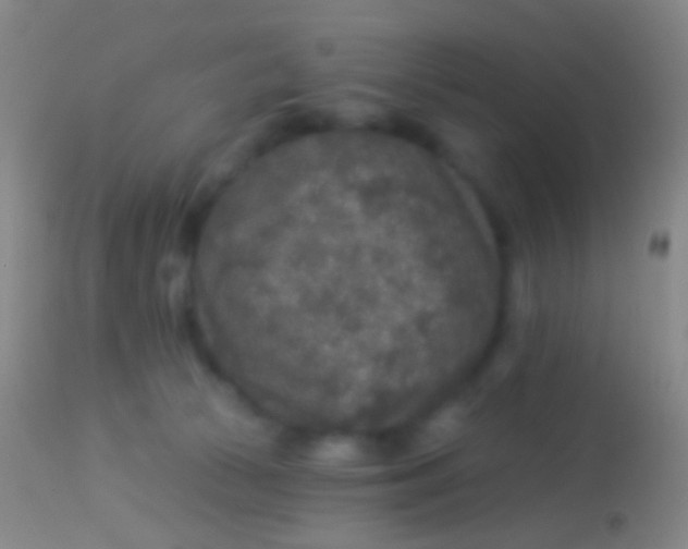 X0000113960177200910162012