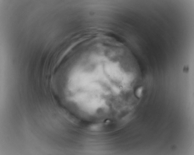 X0000113960178200910162012