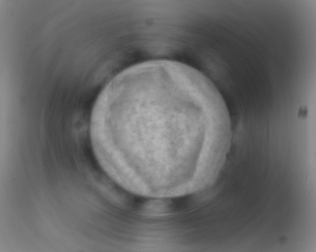 X0000113960179200910162012