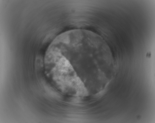 X0000113960182200910162012