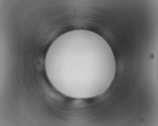 X0000113960183200910162012