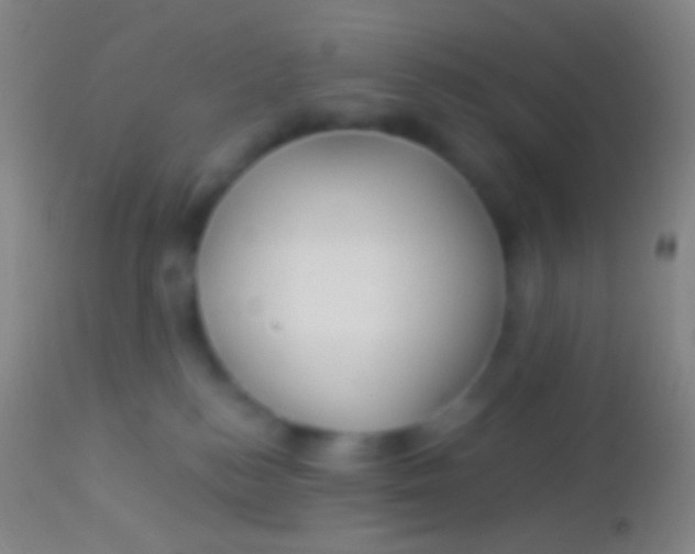 X0000113960184200910162012