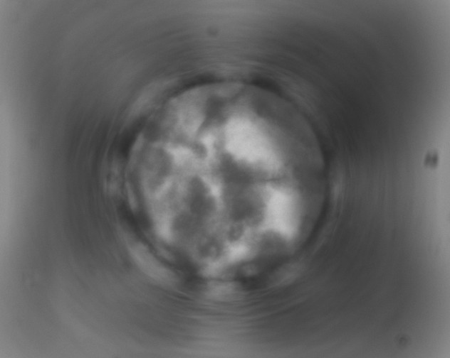 X0000113960185200910162012