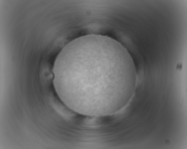 X0000113960186200910162012