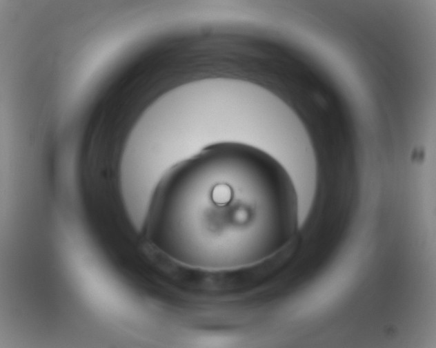 X0000113960189200910162012