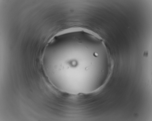 X0000113960190200910162012