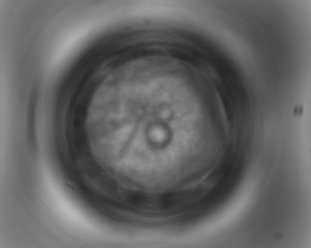 X0000113960191200910162012