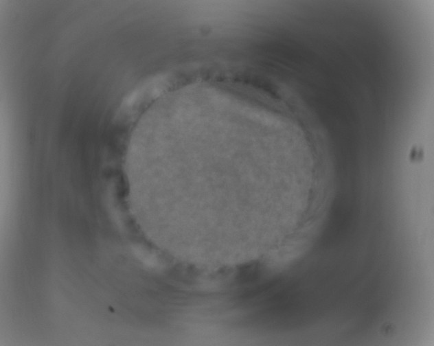 X0000113960192200910162012