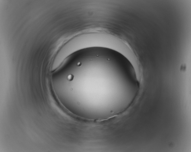 X0000113960193200910162012