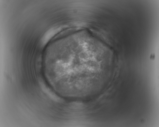 X0000113960194200910162012