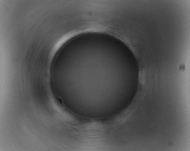 X0000113960196200910162011