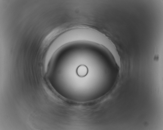 X0000113960197200910162011