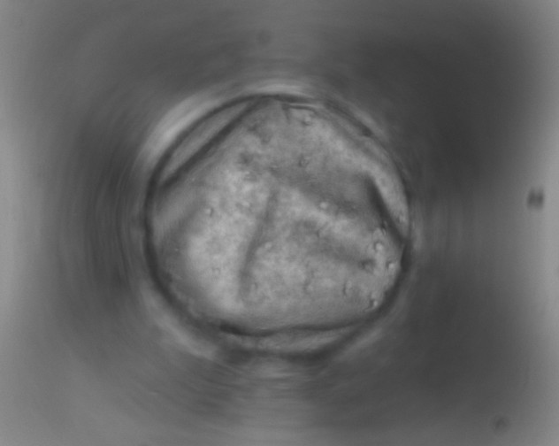 X0000113960199200910162011