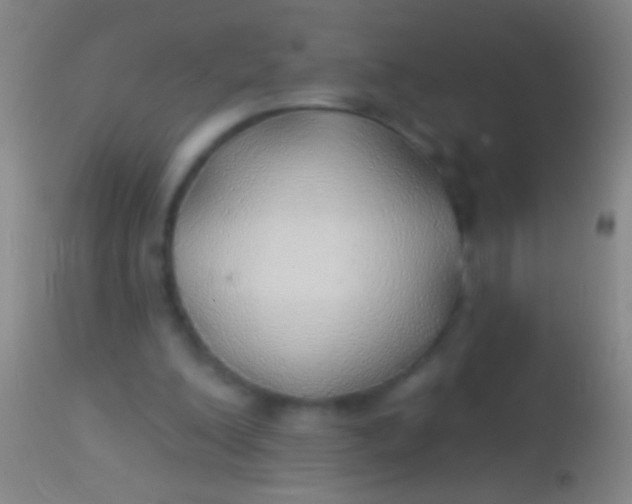 X0000113960200200910162011