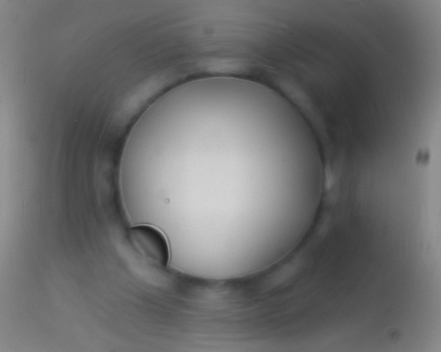 X0000113960201200910162011