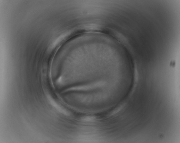 X0000113960202200910162011