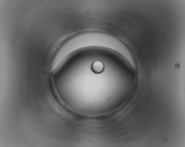 X0000113960203200910162011