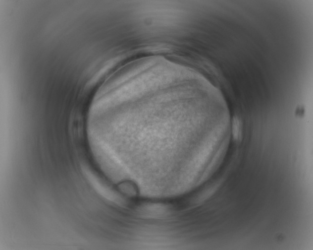 X0000113960205200910162011