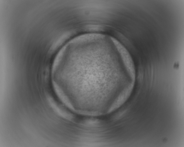 X0000113960206200910162011