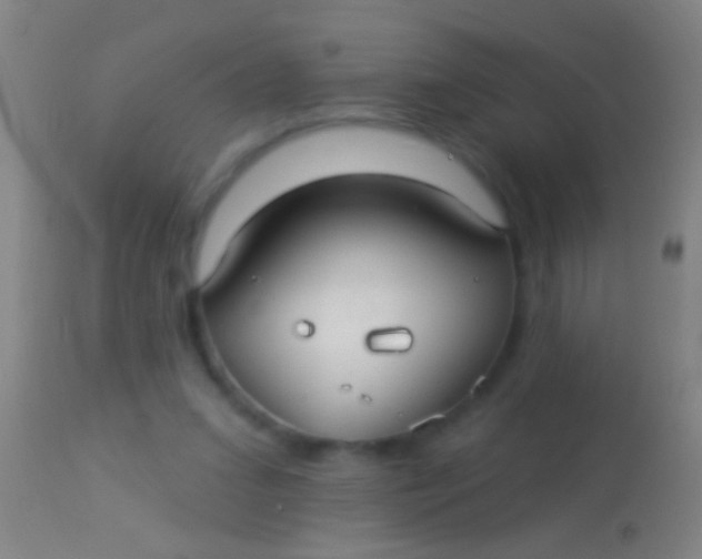 X0000113960207200910162011