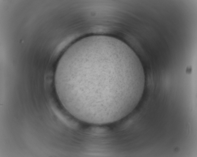 X0000113960208200910162011