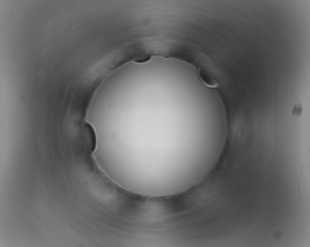 X0000113960209200910162011