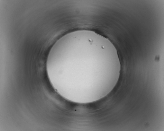 X0000113960211200910162011