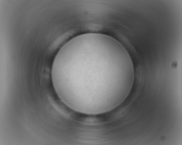 X0000113960212200910162011