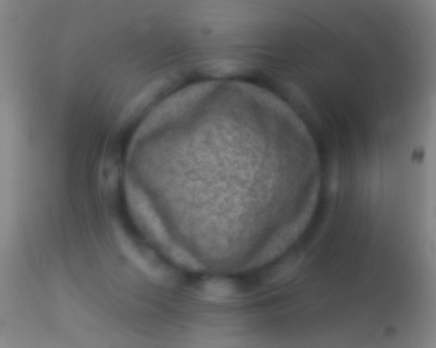 X0000113960214200910162011