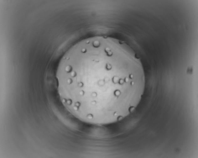 X0000113960215200910162011