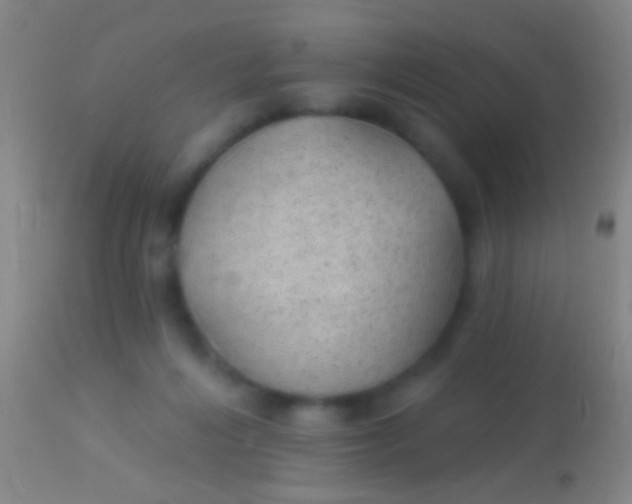 X0000113960216200910162011