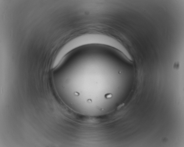 X0000113960217200910162011