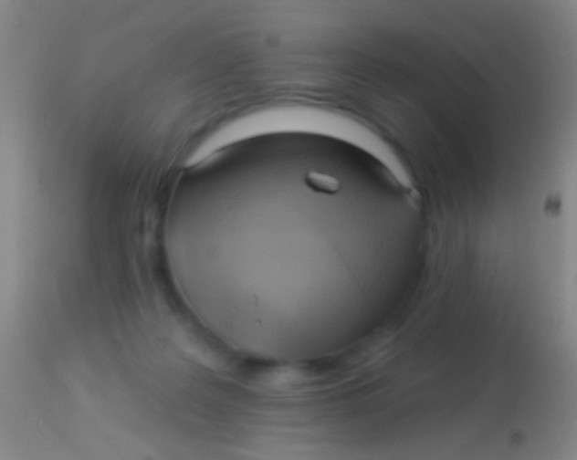 X0000113960219200910162011