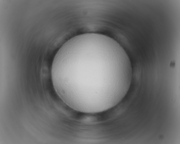 X0000113960220200910162011