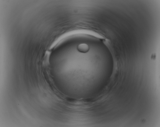 X0000113960223200910162011