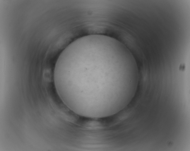 X0000113960224200910162011