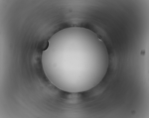 X0000113960225200910162011