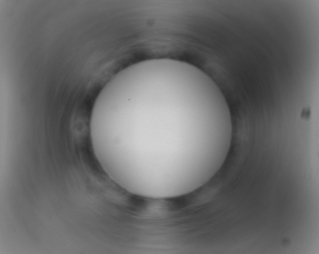 X0000113960226200910162011