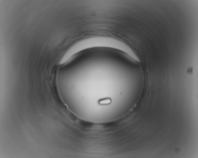 X0000113960227200910162011