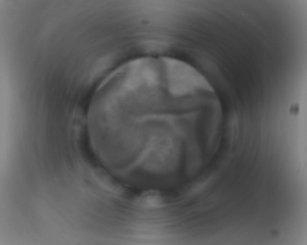 X0000113960228200910162011