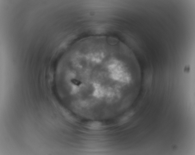 X0000113960230200910162011