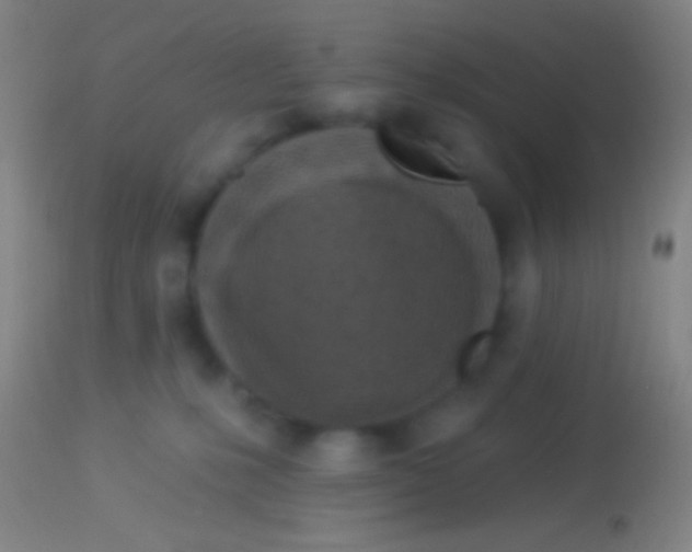 X0000113960231200910162011