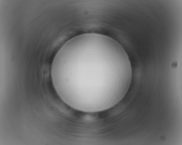 X0000113960232200910162011