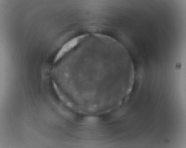 X0000113960233200910162011